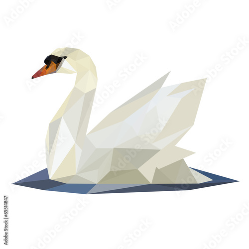 swan on lake