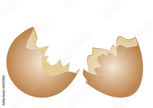 egg shell