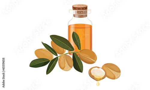 argan oil vector illustration