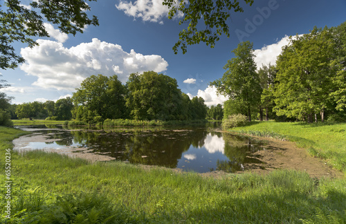 Landscape with the pond photo