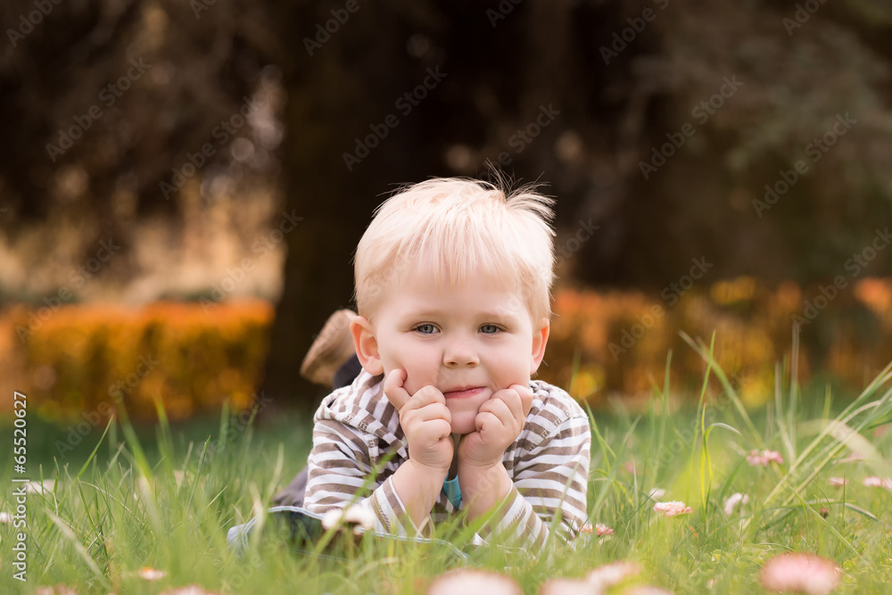 Little boy, lying in the park, playing with daisy on the grass Little boy, lying in the park, playing with daisy on the grass