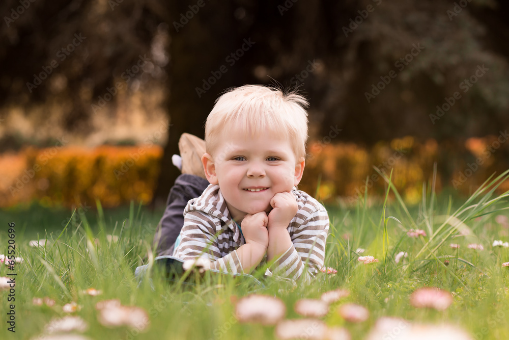 Little boy, lying in the park, playing with daisy on the grass Little boy, lying in the park, playing with daisy on the grass