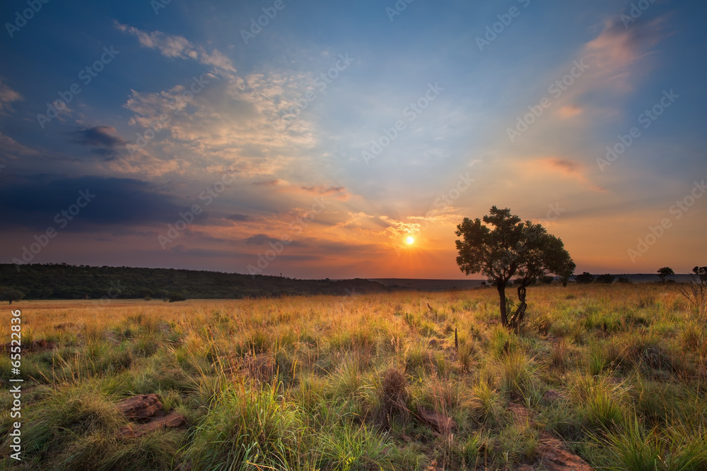 Magical sunset in Africa with a lone tree on a hill and louds