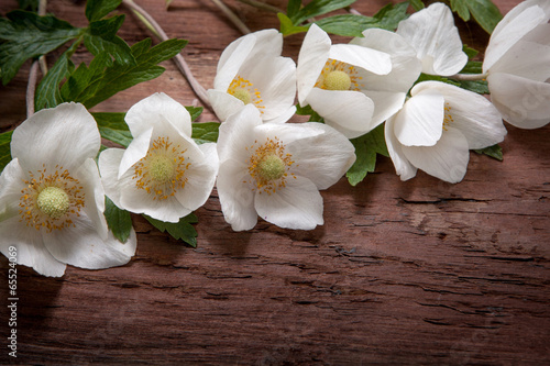 Flowers on wooden background