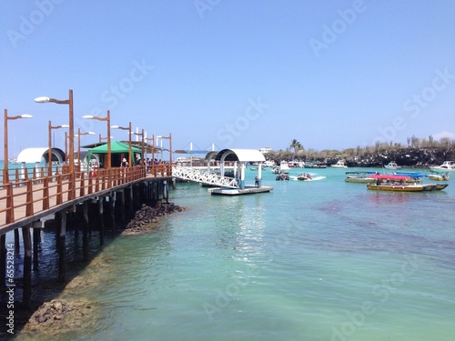 santa cruz harbor photo