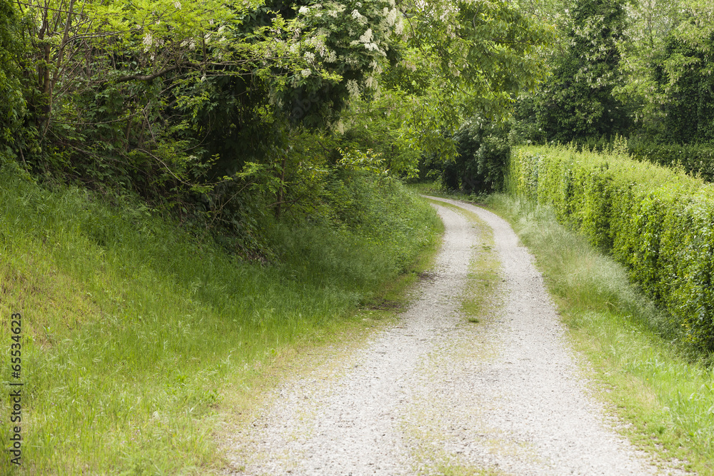 dirt road in the countryside dirt road in the countryside