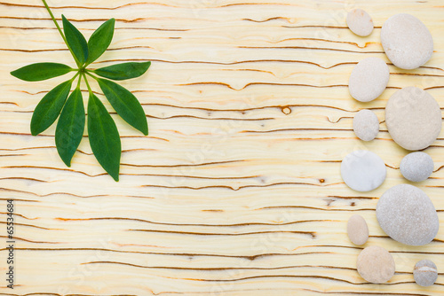 green leaf of shefler and stones on wooden ice tree background photo