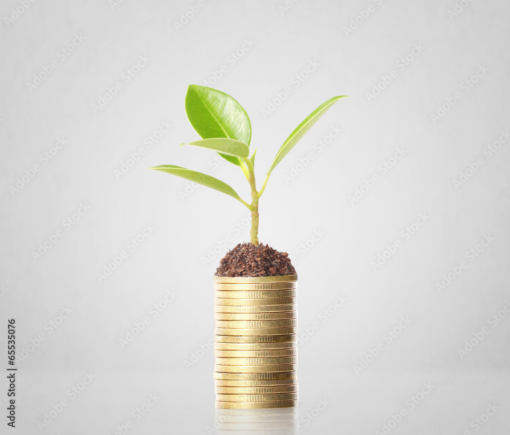 plant on gold coins and graph them plant on gold coins and graph them