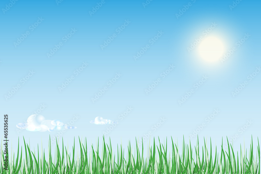 Sun rise or sunset over  green field of grass with bright blue s