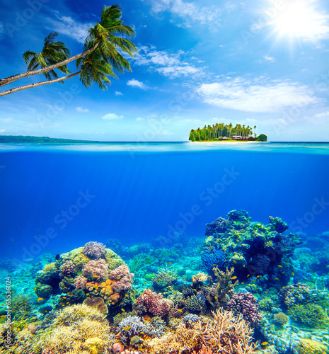 Beautiful Coral Reef on the background of a small island