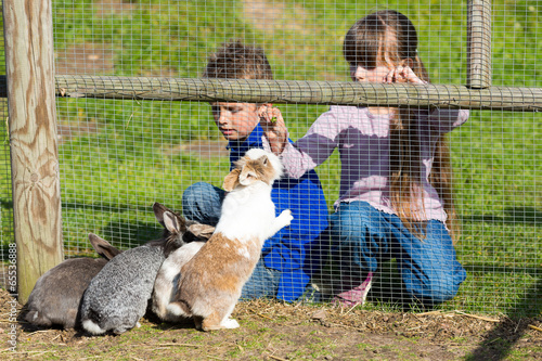 Kids feeding rabbits