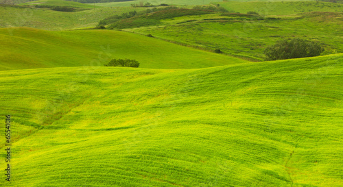 Green hills of Tuscany, Italy