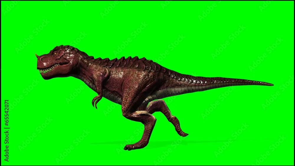 Dinosaur Tyrannosaurus T-Rex runs - green screen Dinosaur Tyrannosaurus T-Rex runs - green screen