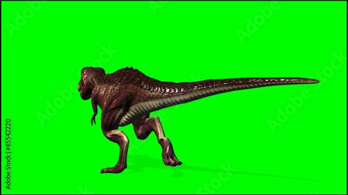 Dinosaur Tyrannosaurus T-Rex runs -  green screen