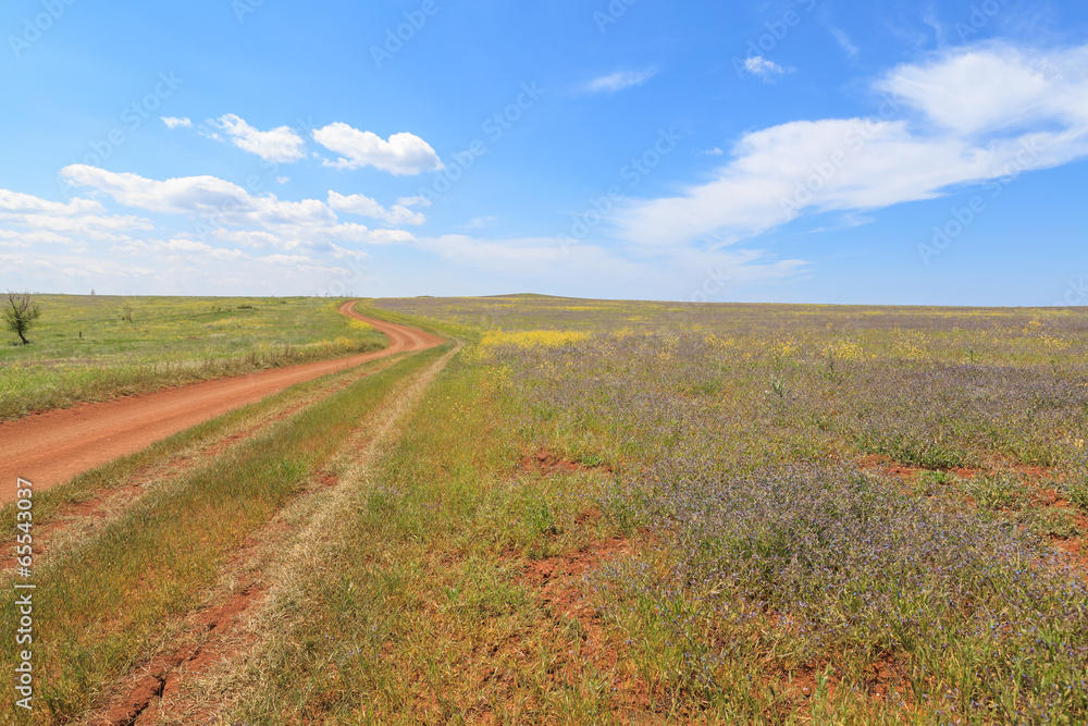 Obraz premium Landscape with rural road