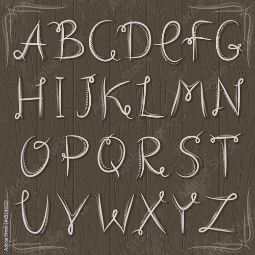 floral decorative borders and alphabet on wooden background, vec
