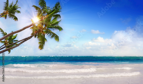 Caribbean beach and sun shining.  © Swetlana Wall