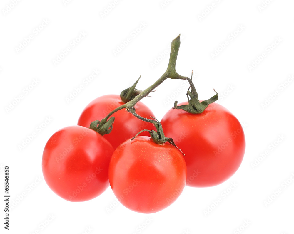 Close up of tomatoes branch. Close up of tomatoes branch.