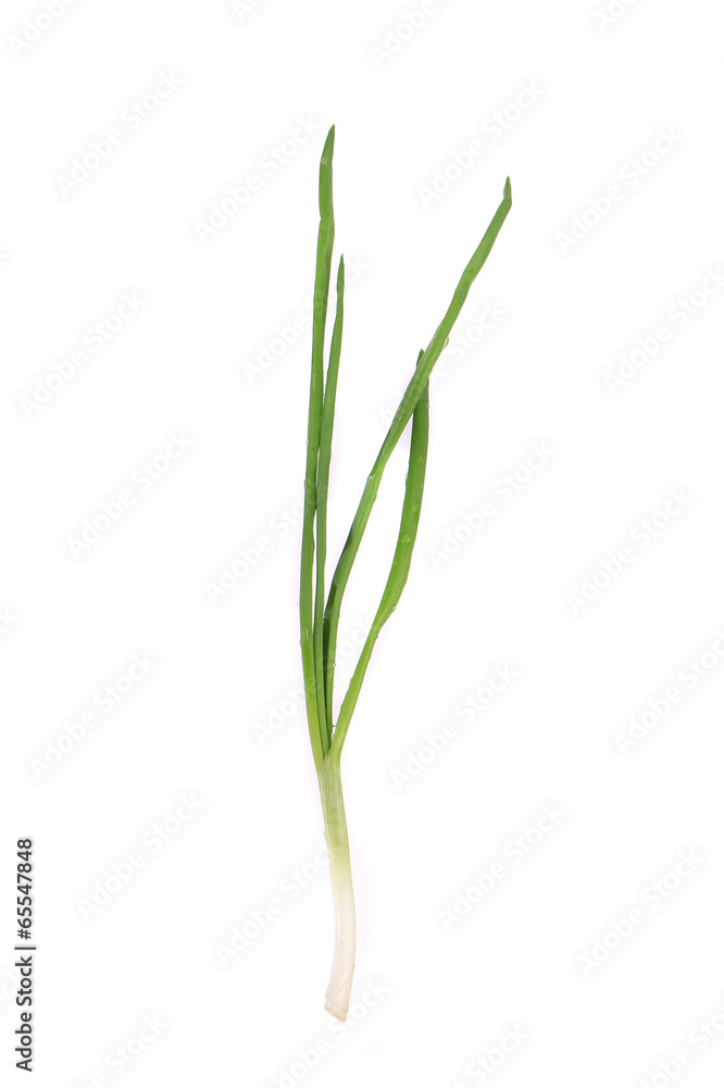 Green onion. Green onion.