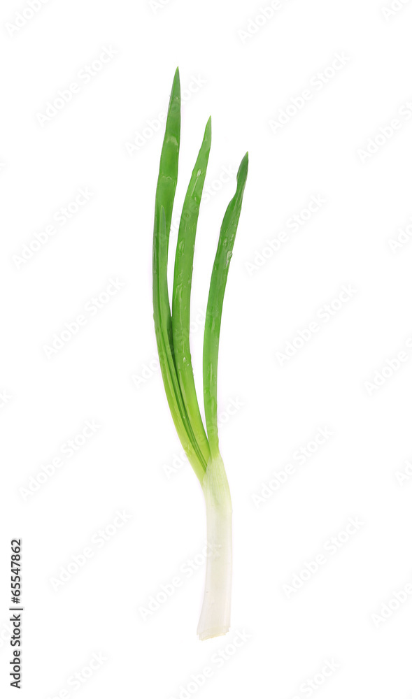 Green onion. Green onion.