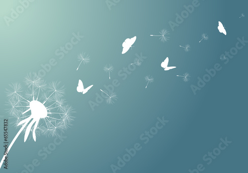 Pusteblume