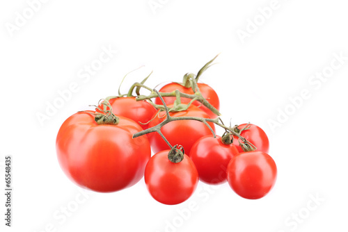 Branch of fresh tomatoes.