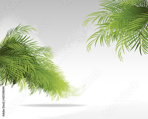 tropical background