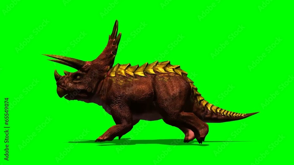 Triceratops dinosaur runs - green screen Triceratops dinosaur runs - green screen