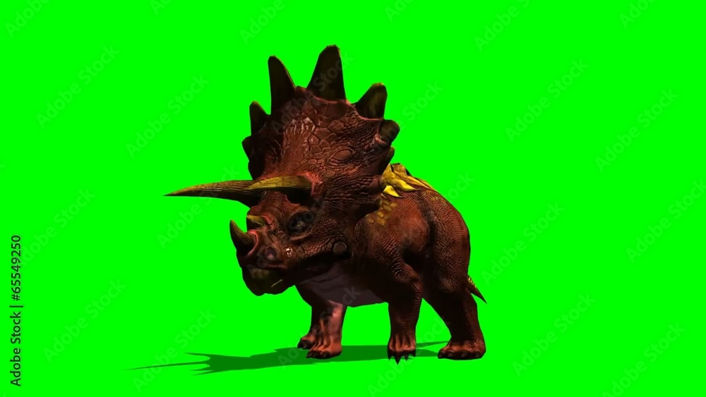 Triceratops dinosaur runs - green screen Triceratops dinosaur runs - green screen