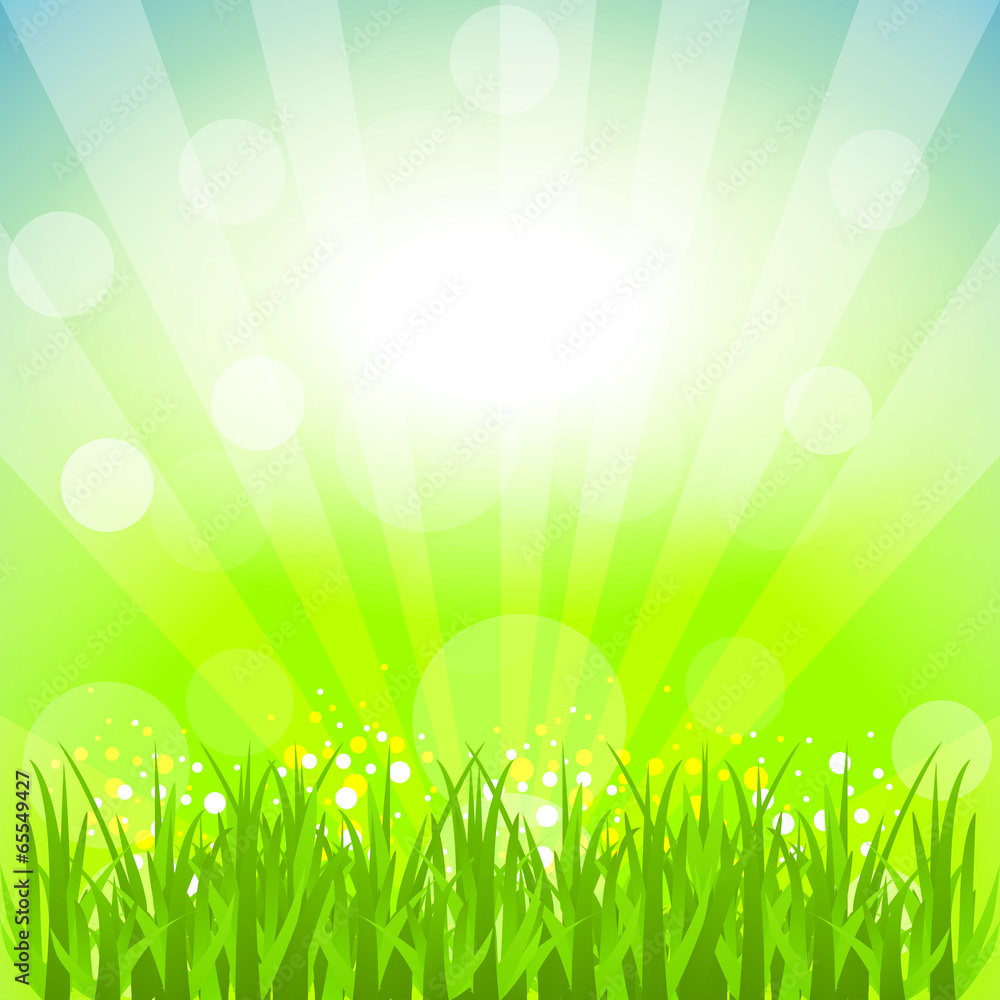 Obraz premium Abstract vector background with nature theme