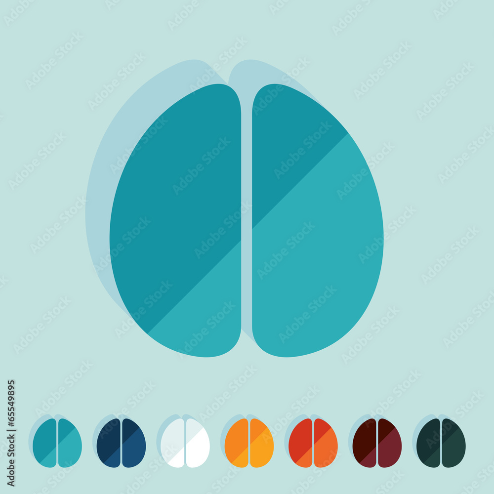 Fototapeta premium Flat design: brain