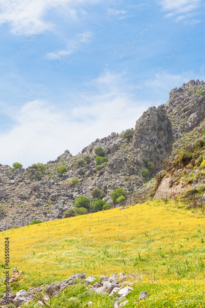 Kreta - Griechenland - Blumenwiese bei Plakias