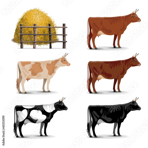 Vector Cow Icons