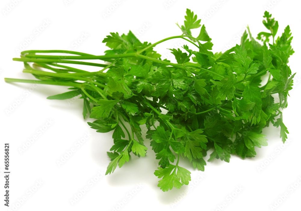 Fresh green parsley Fresh green parsley