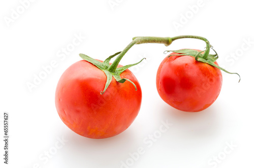 Wallpaper Mural Tomato isolated on white Torontodigital.ca