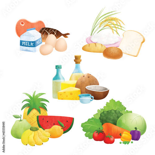Five food group illustrations