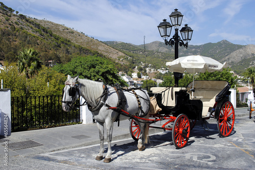 Fotografía Horse and carriage in Mijas