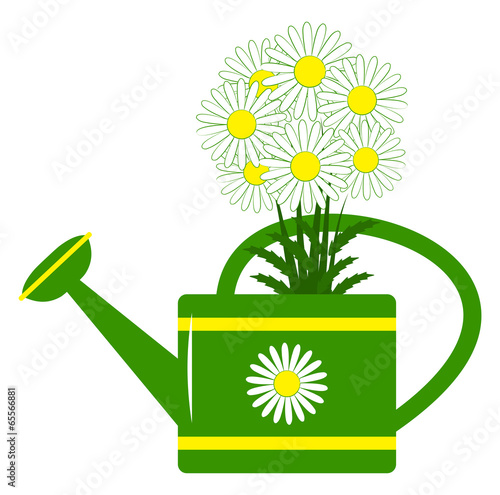 watering can and daisies