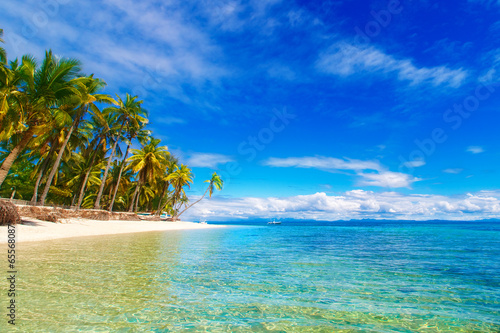 Dream scene. Beautiful palm trees above the white sand beach  th