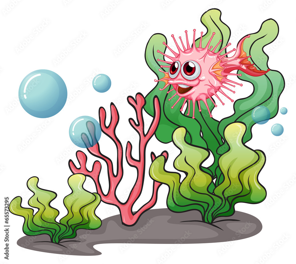Fototapeta premium A puffer fish near the seaweeds