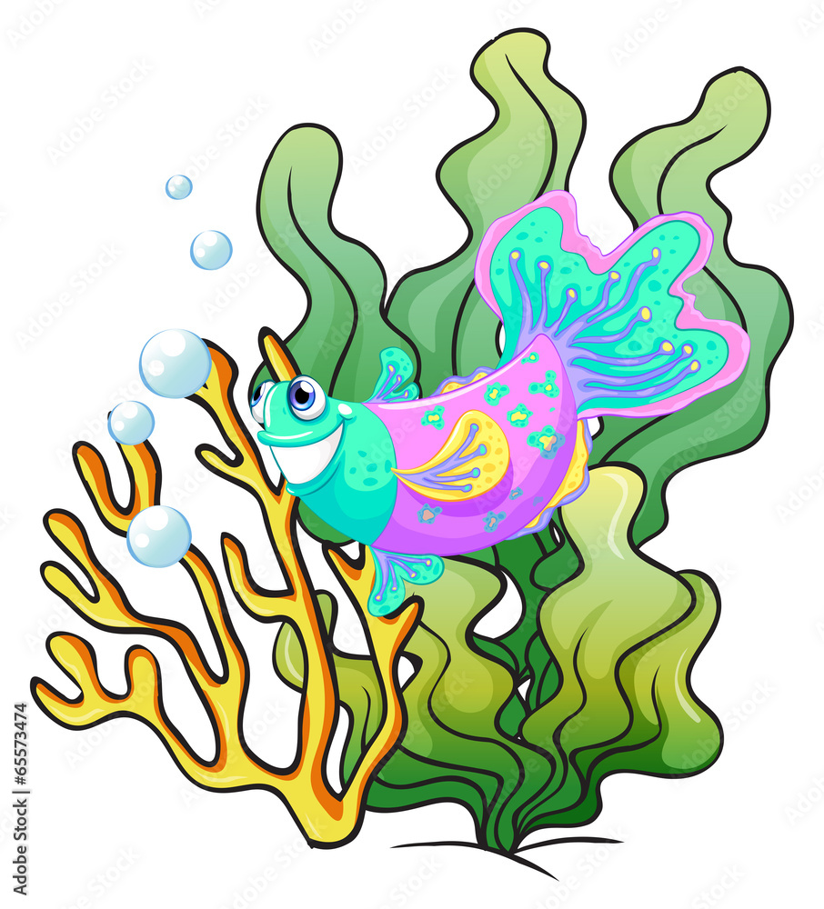 Fototapeta premium A colourful smiling fish under the sea