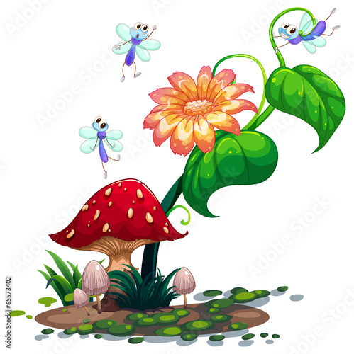 Plants surrounded with dragonflies