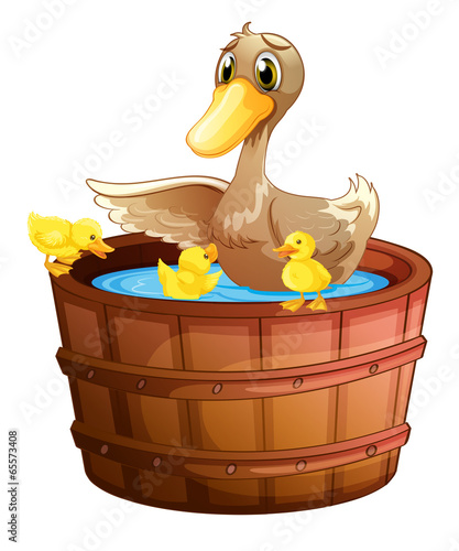 A duck and her ducklings at the bathtub