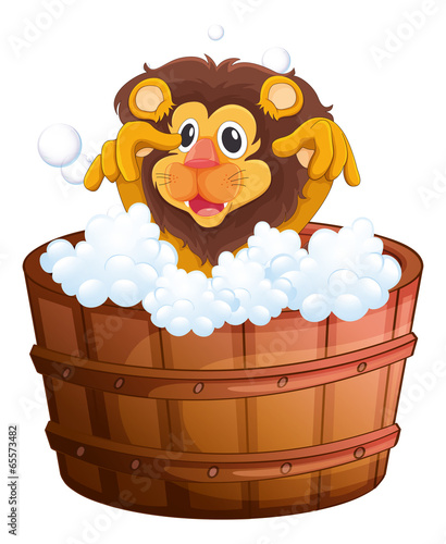A lion at the bathtub