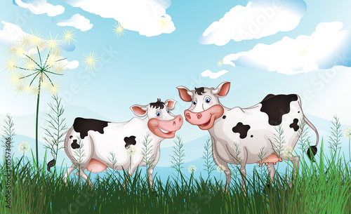 Two cows at the grassland