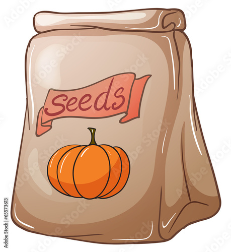 A pack of squash seeds