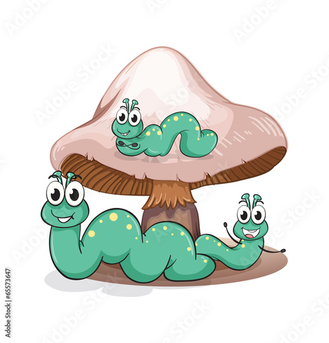 A mushroom with caterpillars