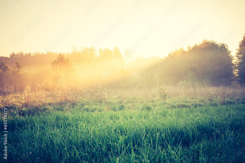 Naklejka premium vintage photo of sunrise over meadow