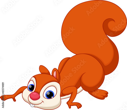 Cute squirrel cartoon