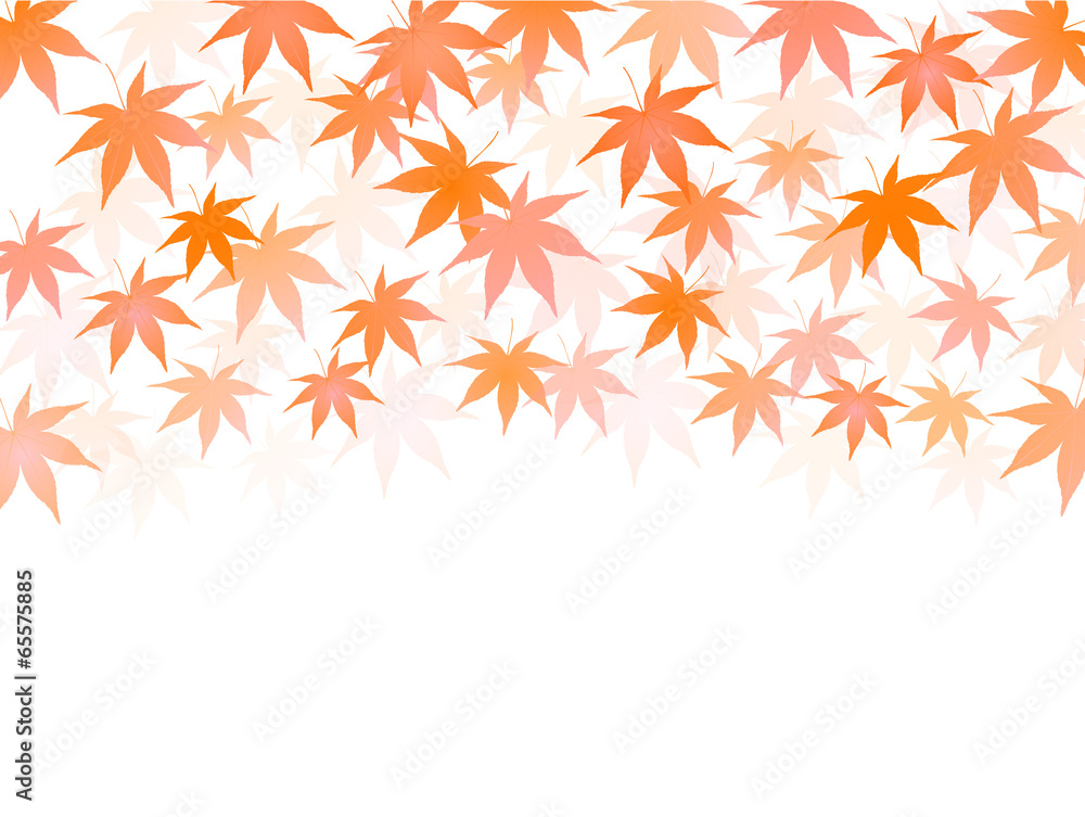 もみじ 紅葉 背景 もみじ 紅葉 背景